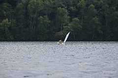 IMG_9554