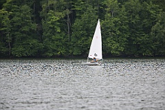 IMG_0377