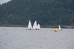 IMG_0390