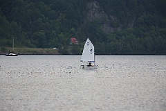 IMG_9940