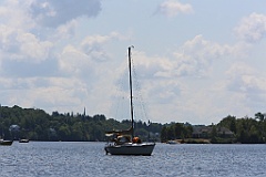 IMG_2361