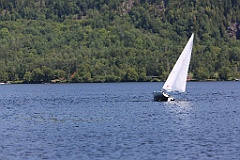 IMG_2521