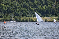 IMG_2567
