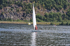 IMG_2595