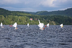 4L4C0254