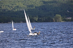 4L4C0355