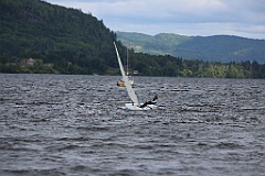 4L4C1376