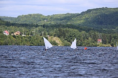 4L4C1629