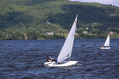 4L4C1686