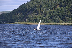 4L4C1881