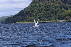 4L4C1886