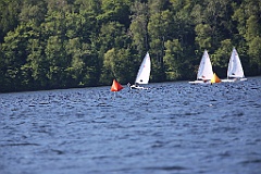 IMG_0135