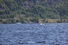 IMG_1737