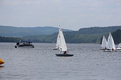 IMG_9239