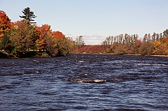 C5D_048745