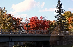 C5D_048746