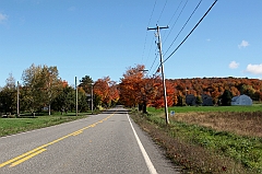 C5D_048758
