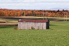 C5D_048773