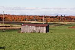 C5D_048774