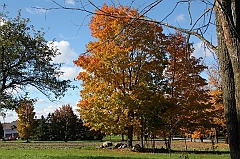 C5D_048776