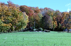 C5D_048778