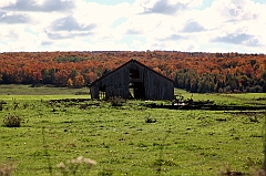C5D_048829