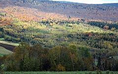 C5D_048896
