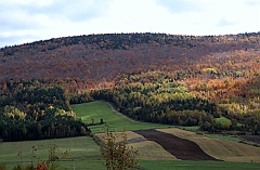 C5D_048899
