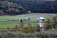 C5D_048900