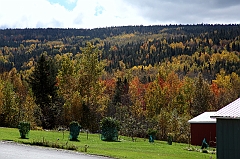 C5D_048921