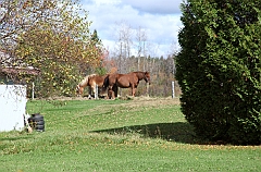 C5D_048926