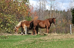C5D_048927