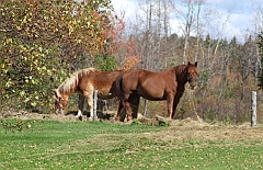 C5D_048928