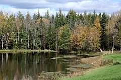 C5D_048929