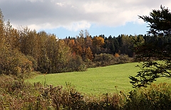 C5D_048930