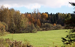C5D_048931