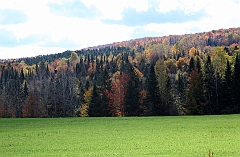 C5D_048944