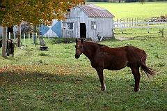 C5D_048950