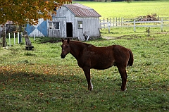 C5D_048951