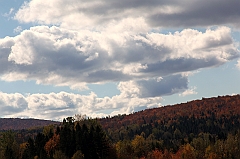 C5D_048953