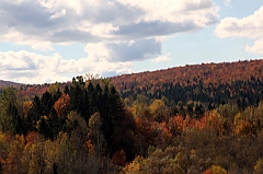 C5D_048954