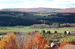 C5D_048958