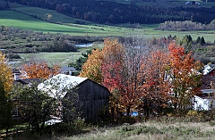 C5D_048960