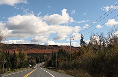 C5D_048961