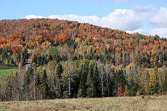 C5D_048965