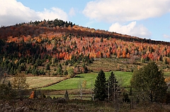 C5D_048974