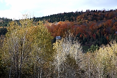 C5D_048975