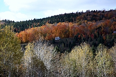 C5D_048976