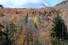 C5D_048978