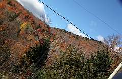 C5D_048979